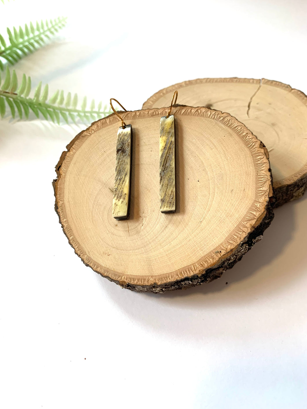 Vertical Horn Earrings